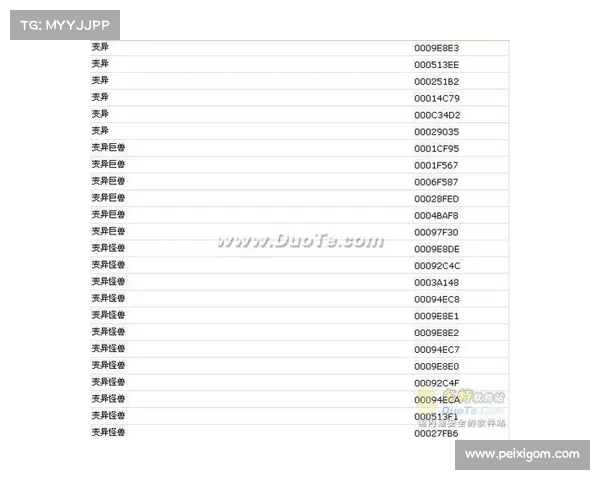 辐射三秘籍输入指南 辐射三秘籍输入指南