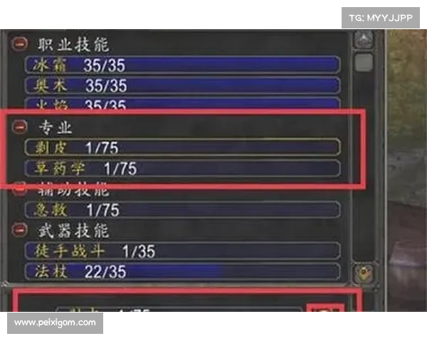 魔兽世界怀旧服骑士技能攻略,快速打怪指南